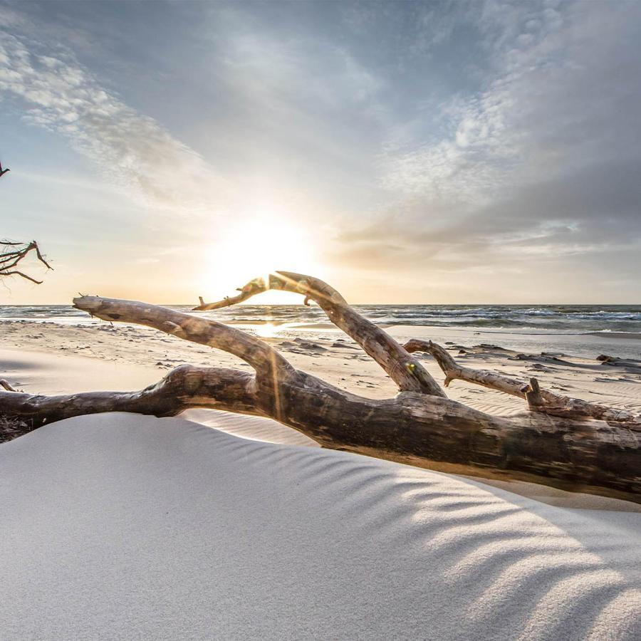 Driftwood Villa's - Scotts Head